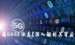 为什么BitP没有DOGE体系？深入解析其背后的原因与