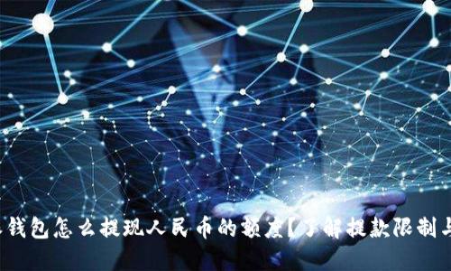 b特派钱包怎么提现人民币的额度？了解提款限制与流程