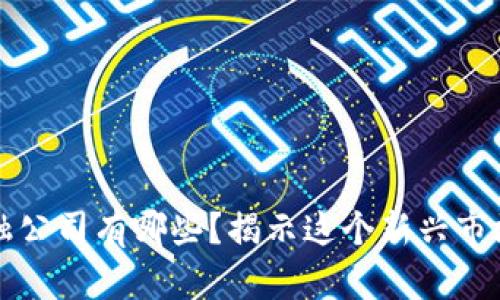 深圳区块链金融公司有哪些？揭示这个新兴市场的潜力与创意