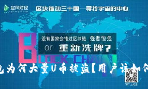 BK钱包为何大量U币被盗？用户该如何防范？