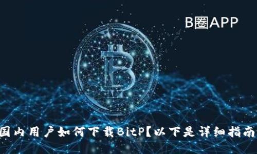 国内用户如何下载BitP？以下是详细指南！