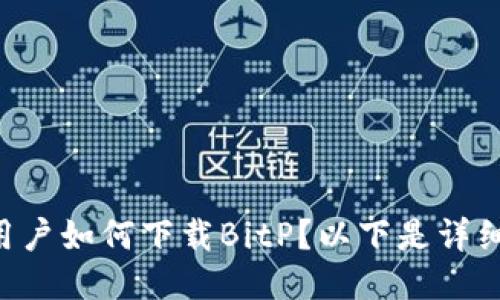 国内用户如何下载BitP？以下是详细指南！