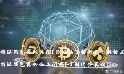 特派钱包会被关闭？你应该了解的五个关键点

特派钱包真的会关闭吗？了解这些真相！