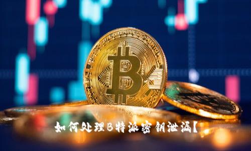 如何处理B特派密钥泄漏？