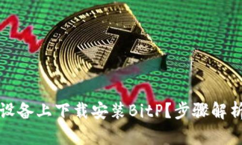 如何在安卓设备上下载安装BitP？步骤解析与视频教程