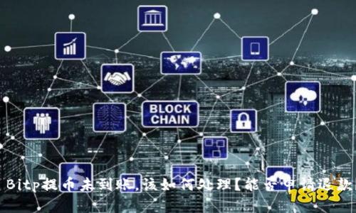  Bitp提币未到账，该如何处理？能否申请退款？