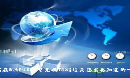 如何在BitPUSDT中兑换TRX？这是您需要知道的一切！