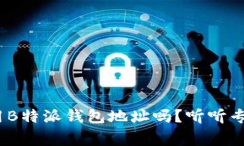 ZEC可以用B特派钱包地址吗？听听专家怎么说！