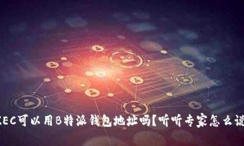 ZEC可以用B特派钱包地址吗？听听专家怎么说！