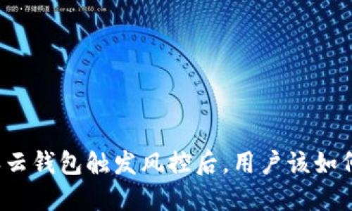 比特派云钱包触发风控后，用户该如何应对？