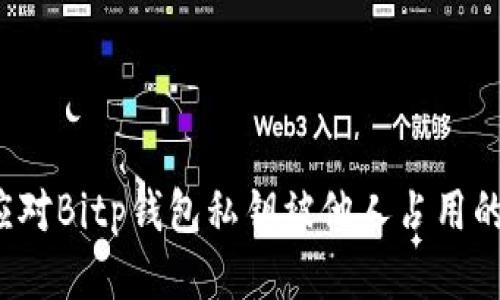 如何应对Bitp钱包私钥被他人占用的风险？