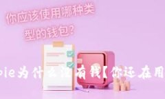 bianhuabitpie为什么没有钱？你还在用这个钱包吗？
