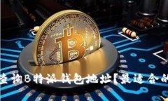 : 怎样快速查询B特派钱包地址？最适合的浏览器