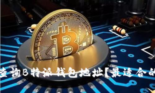: 怎样快速查询B特派钱包地址？最适合的浏览器推荐