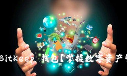 如何使用 BitKeep 钱包？掌握数字资产管理的关键