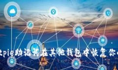 如何使用Bitpie助记词在其他钱包中恢复你的数字