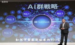 如何下载最新版本的BitP？