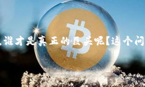 区块链游戏的崛起吸引了全球的目光，越来越多的玩家和开发者开始投身其中。那么，现如今的区块链游戏领域，谁才是真正的巨头呢？这个问题不仅关乎游戏的品质与可玩性，还涉及到区块链技术的应用和生态的建设。接下来，我们将深入探讨这一话题。

区块链游戏的巨头有哪些？