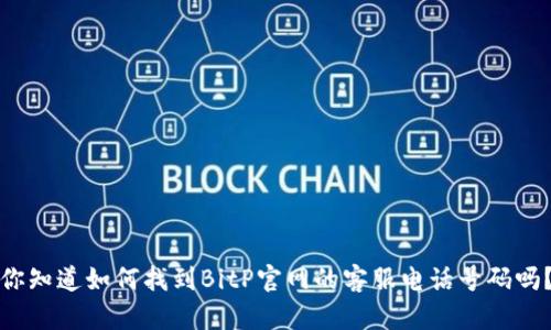 你知道如何找到BitP官网的客服电话号码吗？