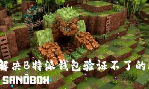 如何解决B特派钱包验证不了的问题？
