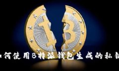 如何使用B特派钱包生成的私钥？