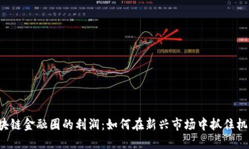 区块链金融圈的利润：如何在新兴市场中抓住机遇？