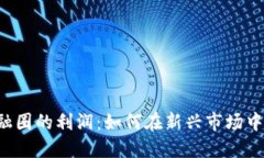 区块链金融圈的利润：如何在新兴市场中抓住机