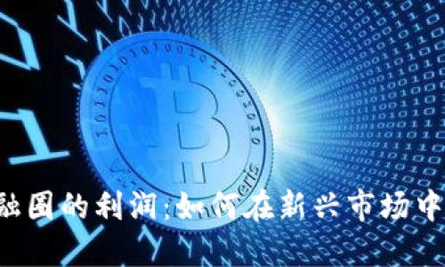 区块链金融圈的利润：如何在新兴市场中抓住机遇？