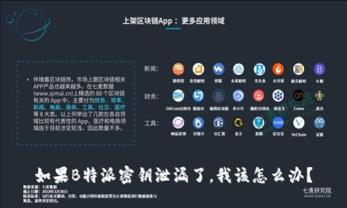 如果B特派密钥泄漏了，我该怎么办？