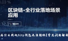 为什么我的Bitp钱包无法转账？常见问题解析