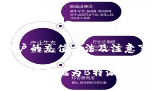 特派账户的充值方法及注意事项

如何快速安全地为B特派账户充值？