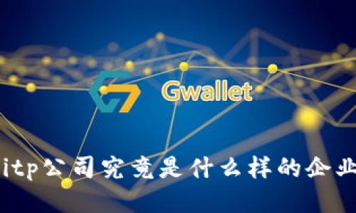 Bitp公司究竟是什么样的企业？