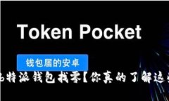 如何使用b特派钱包找零？你真的了解这些技巧吗
