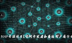 什么是BitP开源项目？它对开发者和普通用户有什