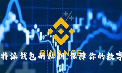 如何导出B特派钱包的私钥，保障你的数字资产安全？