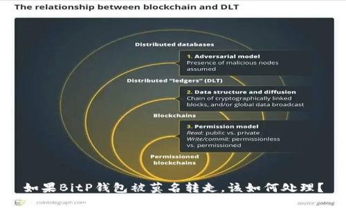 如果BitP钱包被莫名转走，该如何处理？