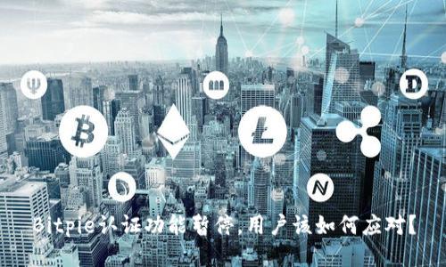 Bitpie认证功能暂停，用户该如何应对？