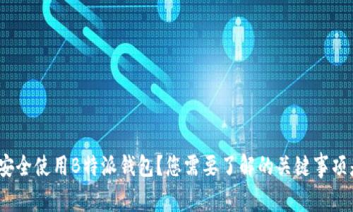: 如何安全使用B特派钱包？您需要了解的关键事项是什么？
