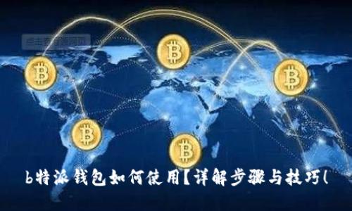 b特派钱包如何使用？详解步骤与技巧！