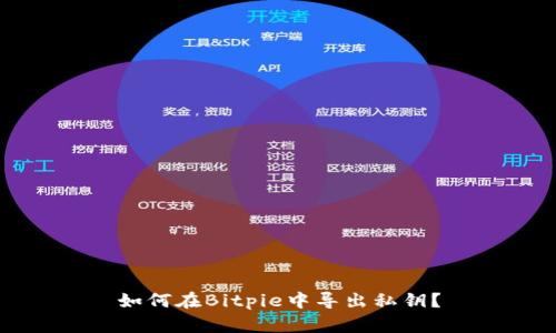 如何在Bitpie中导出私钥？