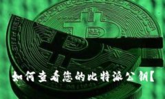 如何查看您的比特派公钥？