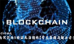 schema为何你的B特派无法转账？常见原因与解决方