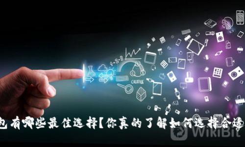 比特币钱包有哪些最佳选择？你真的了解如何选择合适的钱包吗？