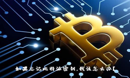 如果忘记比特派密钥，我该怎么办？