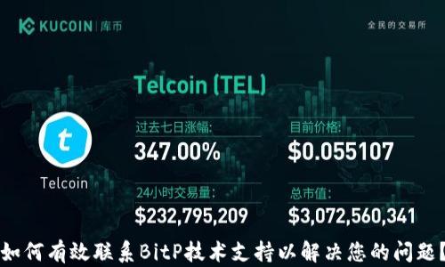 
如何有效联系BitP技术支持以解决您的问题？