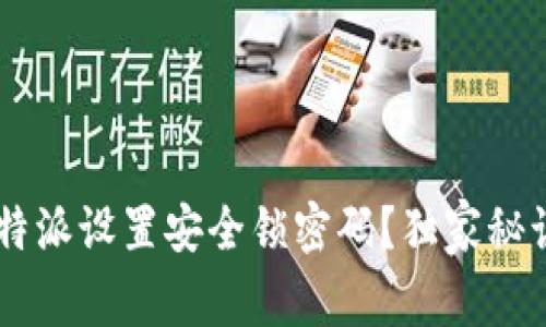 如何为B特派设置安全锁密码？独家秘诀大解析！