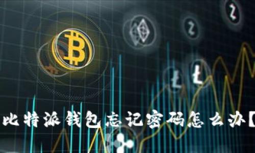比特派钱包忘记密码怎么办？