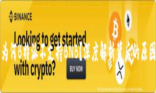 为何B特派不支持BNB？深度解析背后的原因