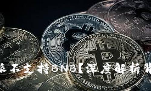 为何B特派不支持BNB？深度解析背后的原因