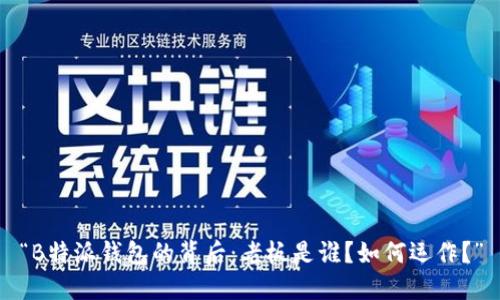 “B特派钱包的背后：老板是谁？如何运作？”
